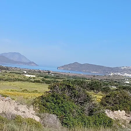 Artemis Bakery's House 1 *