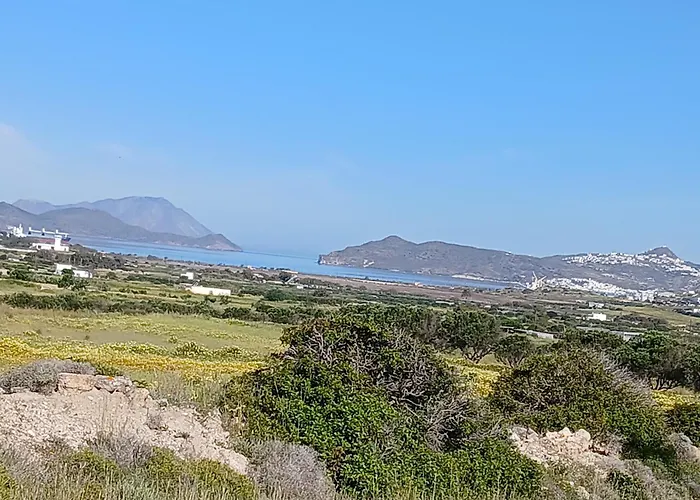 Artemis Bakery's House 1 *